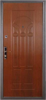 Металл. шкаф с МДФ, №2