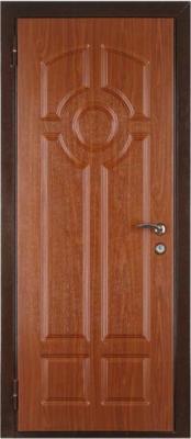 Металл. шкаф с МДФ, №9