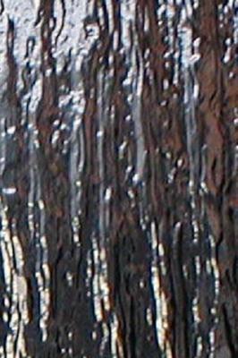 Стекло для межкомнатных дверей. Кора 