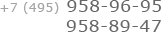 +7 (495) 958-96-95, +7 (495) 958-89-47