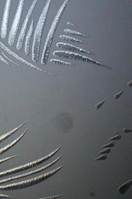 Стекло для межкомнатных дверей. Шале - 2