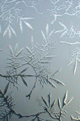 Стекло для межкомнатных дверей. Терновник - 2 БЦ 